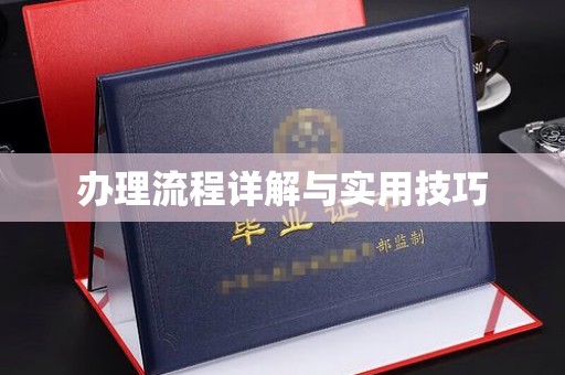 正镶白旗办理流程详解与实用技巧