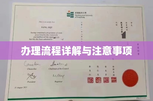 正镶白旗办理流程详解与注意事项